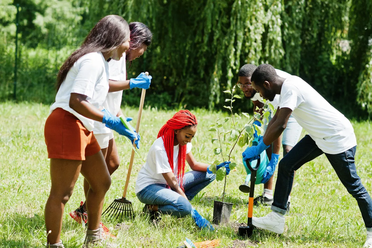 Un groupe de bénévoles collaborant pour planter un arbre dans un espace naturel, mettant en valeur les initiatives écologiques et la préservation de l’environnement soutenues par une plateforme agriculture.