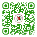 qr-code (1)